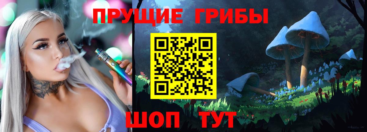 как найти   Псилоцибиновые грибы GOLDEN TEACHER  Вход с VPN  Асбест 